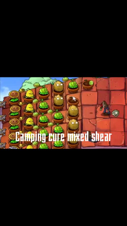 植物大战僵尸国外改版免费阅读黑色免费最新版图标