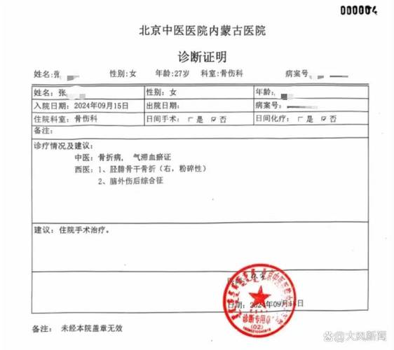 医院诊断单子图片游戏截图