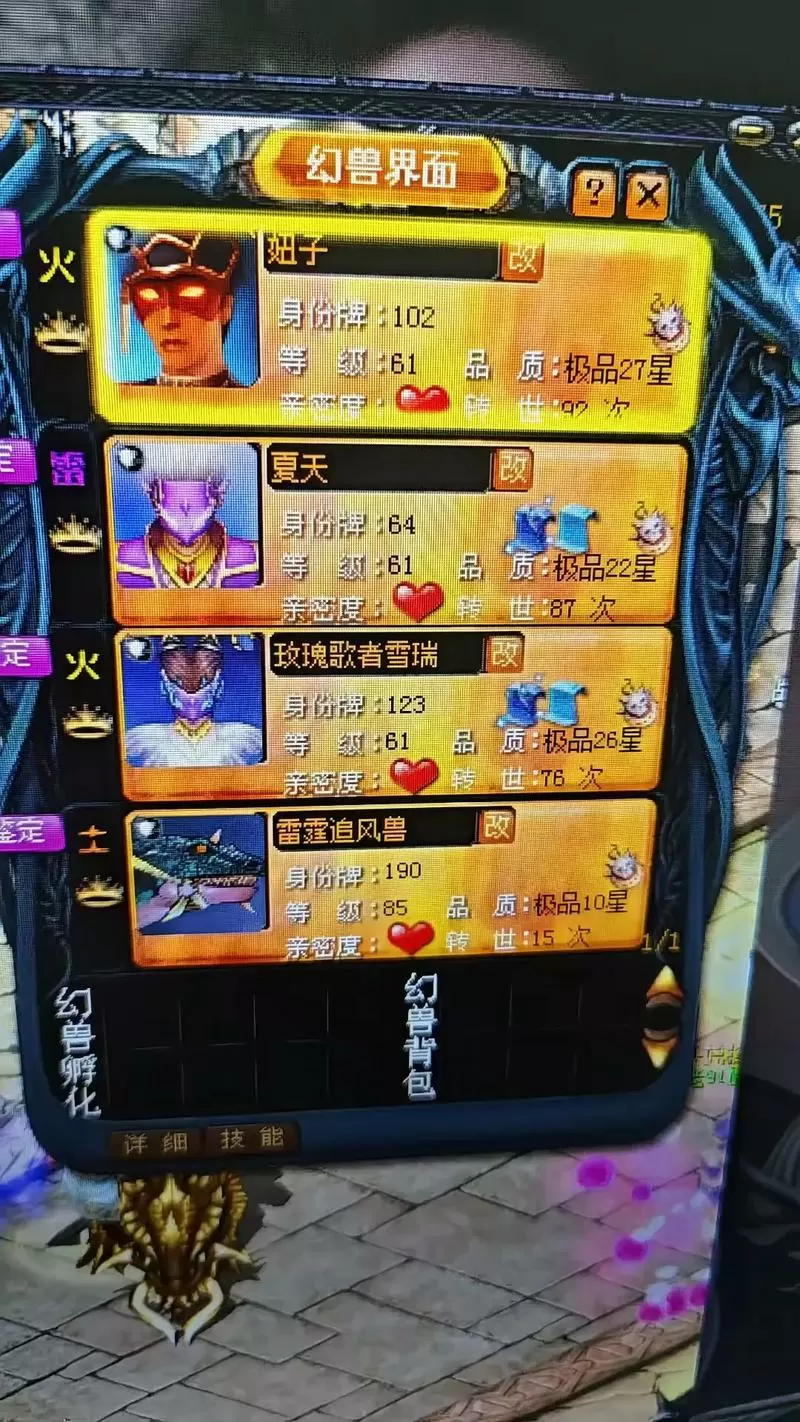 魔域口袋版玩什么角色,和什么宝宝好游戏截图